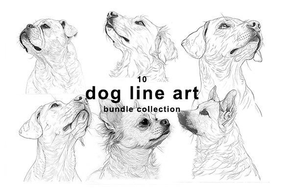 Download Dog Line Art Bundle Collection - Line art Collection